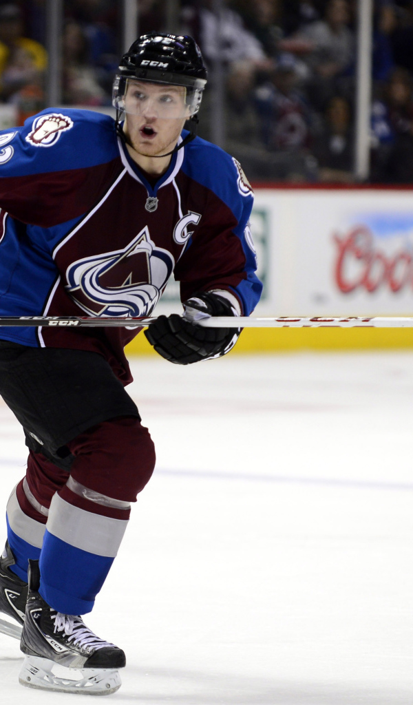 Популярный Хоккеист Габриэль Ландеског