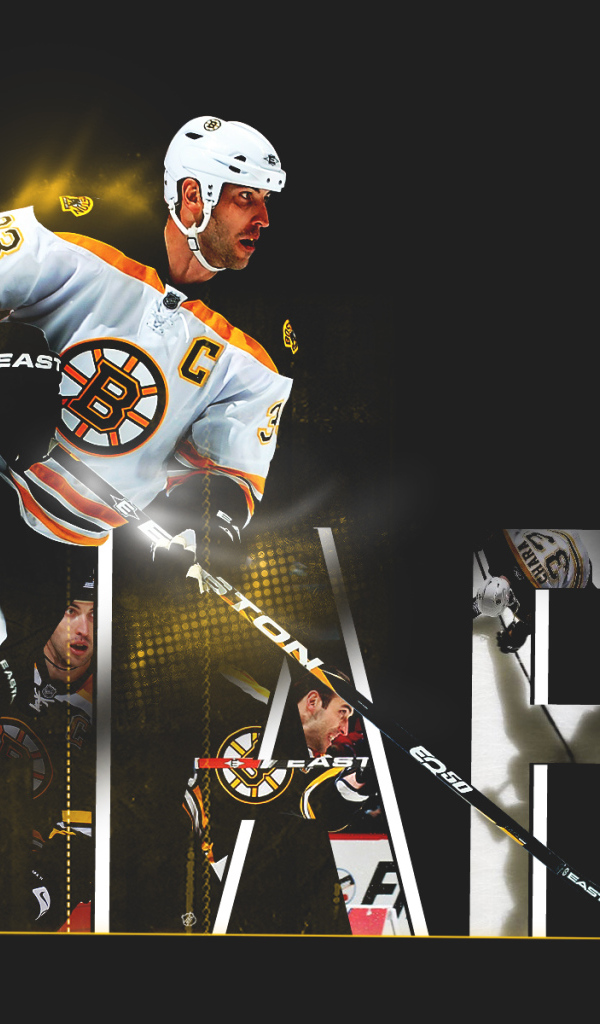 Здено Хара на льду