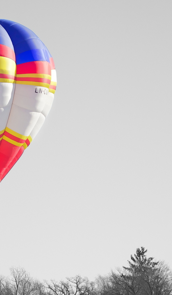 Воздушный шар над деревьями