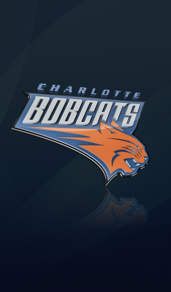 Логотип клуба НБА