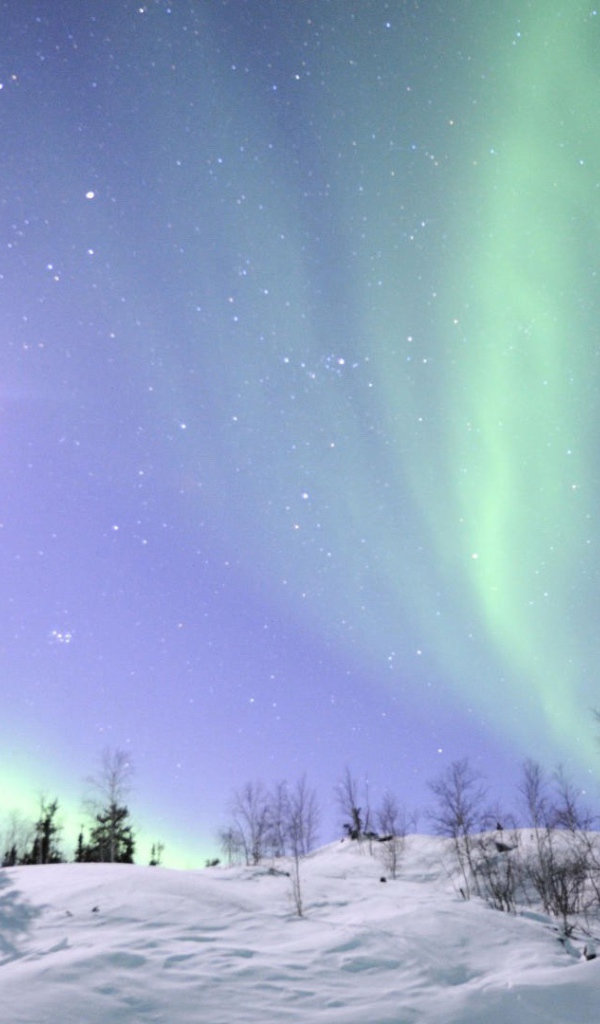 Northern lights in the sky