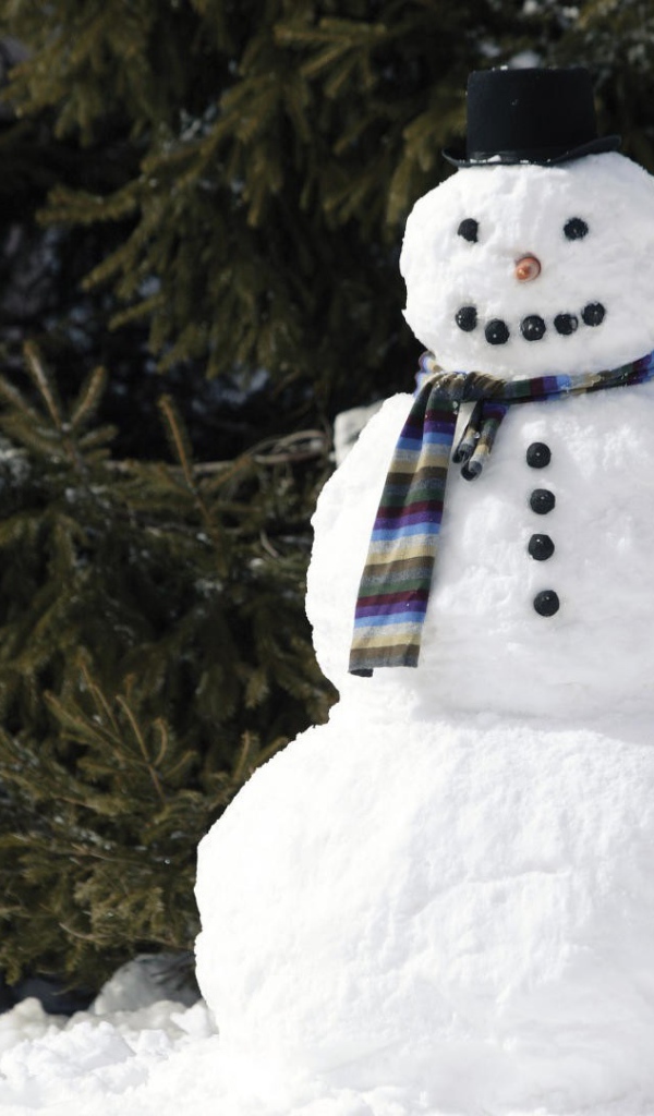Snowman with a scarf