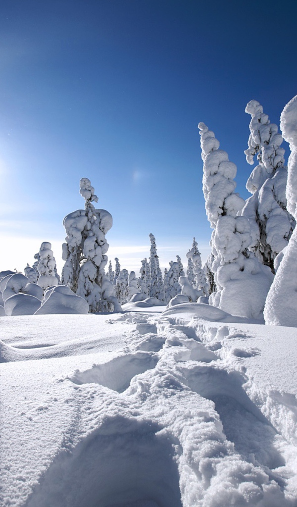 Зима в Финляндии 