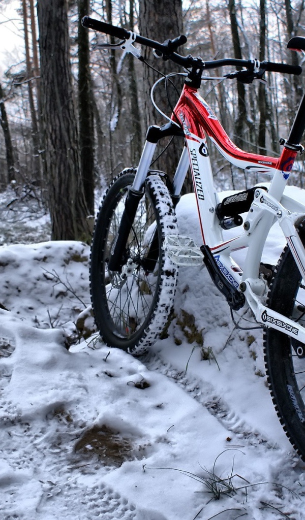 Велосипед на снегу