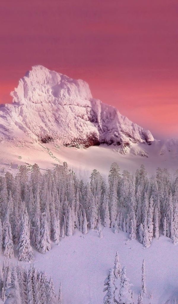 Гора и лес занесенные снегом