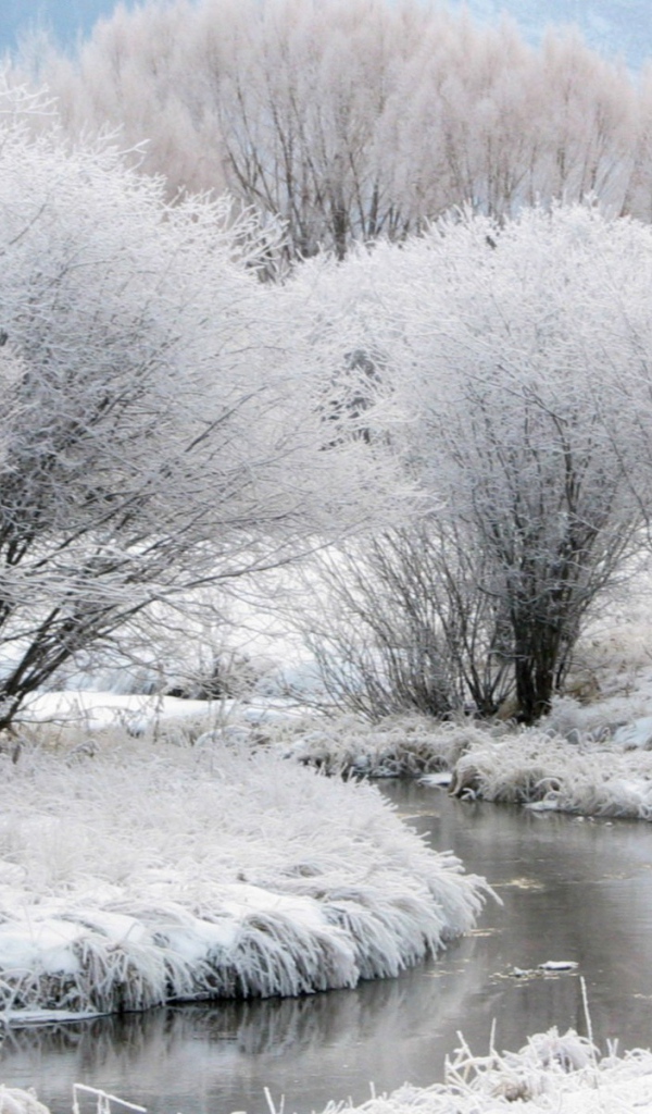 Зимний пейзаж с незамершей рекой