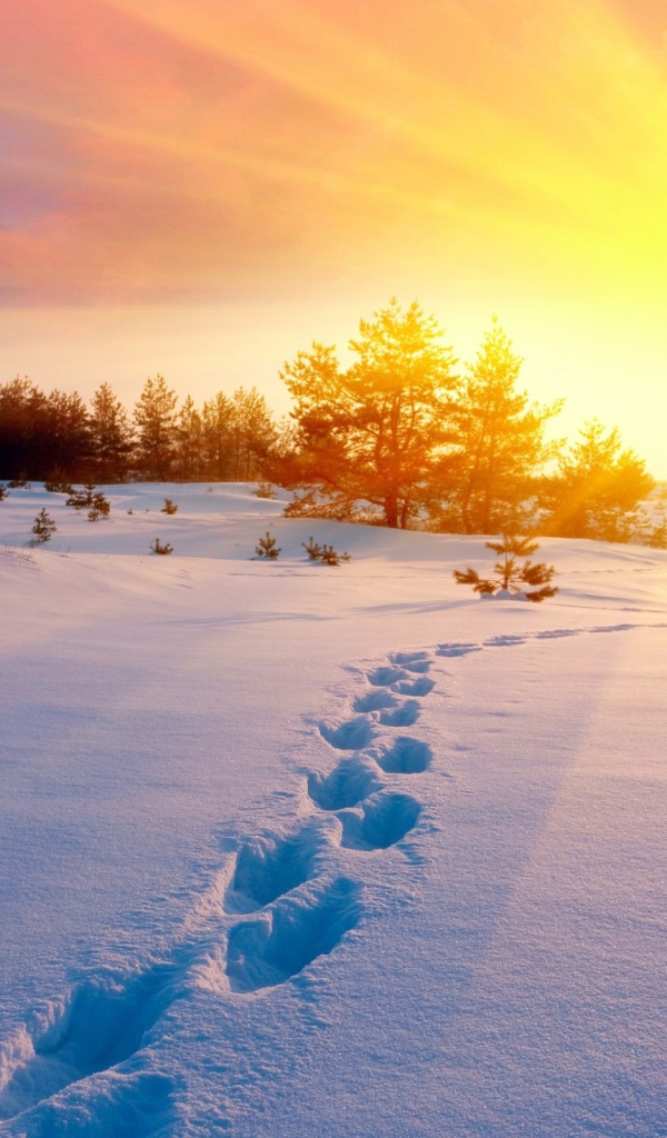 	   Footprints in the snow