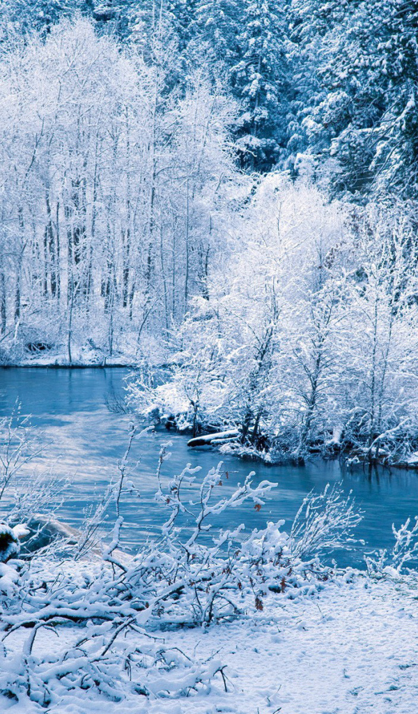 Река в зимнем лесу