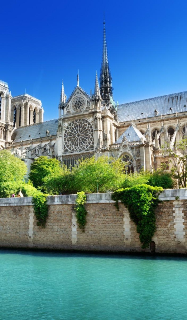 Нотр Дам в Париже