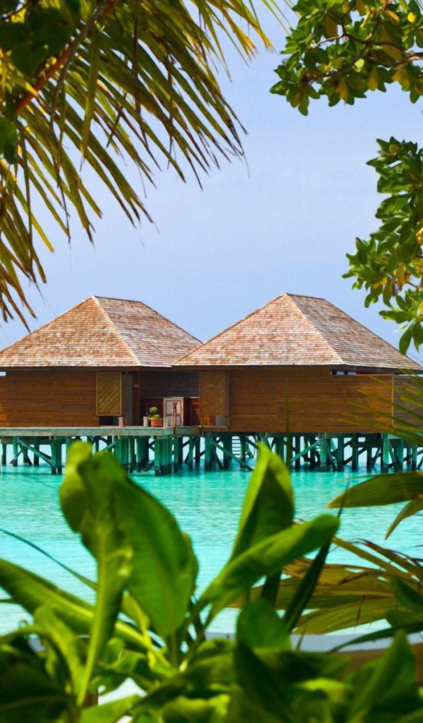 Дома на сваях на Бали