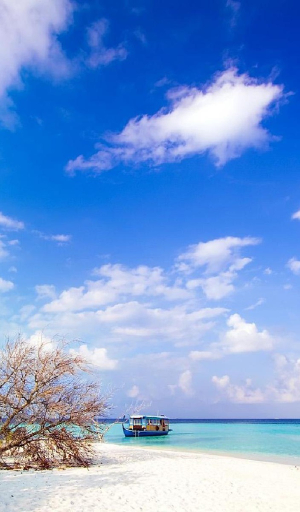 Природа острова Бали