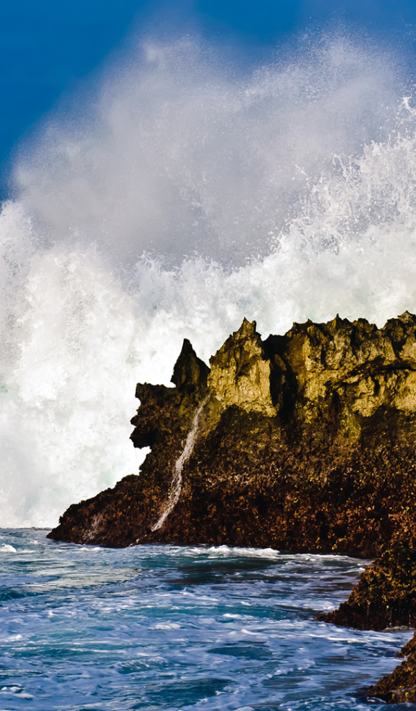 Скалистый берег Бали