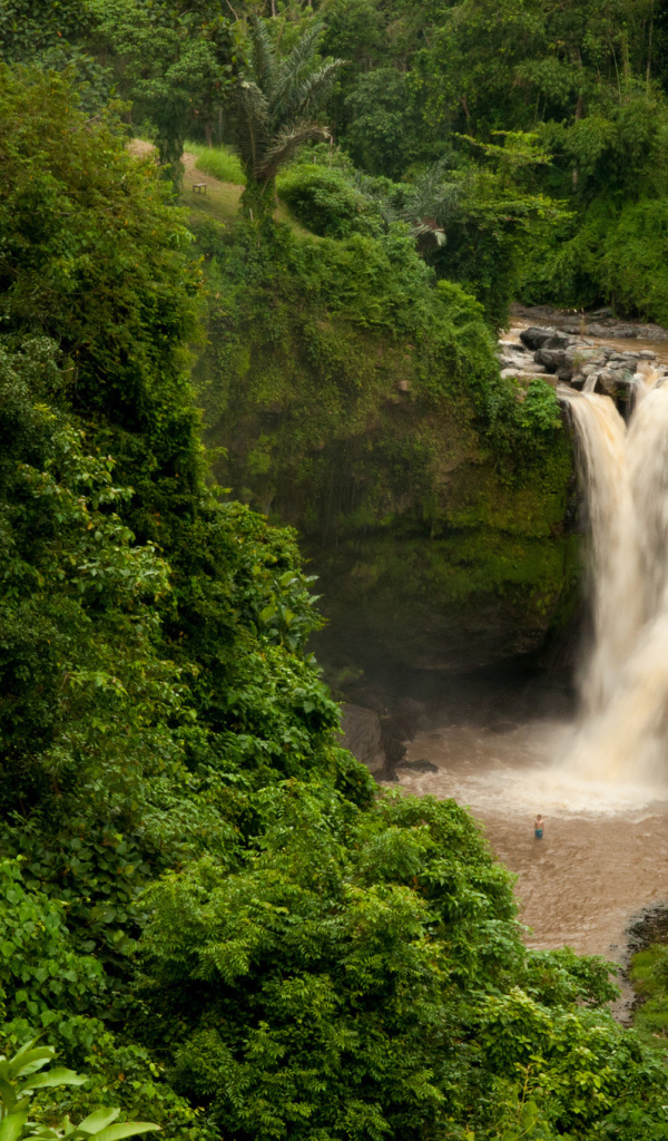 Водопад в джунглях Бали
