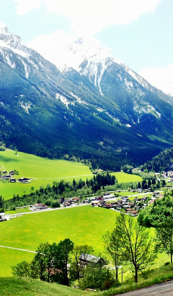 Альпийские луга на курорте Цель-ам-Зее, Австрия