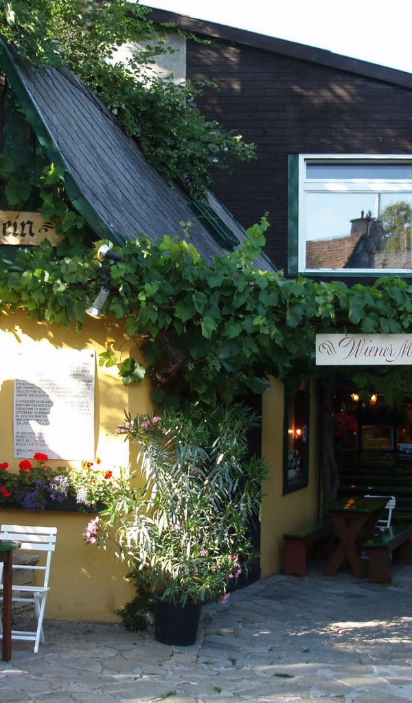 Уютное кафе в городе Нойштифт, Австрия