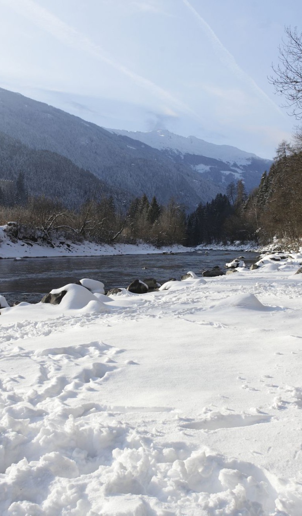 Собака на  берегу реки на курорте Лиенц, Австрия