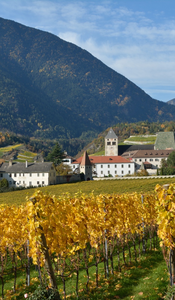 Поля в окрестностях города Нойштифт, Австрия