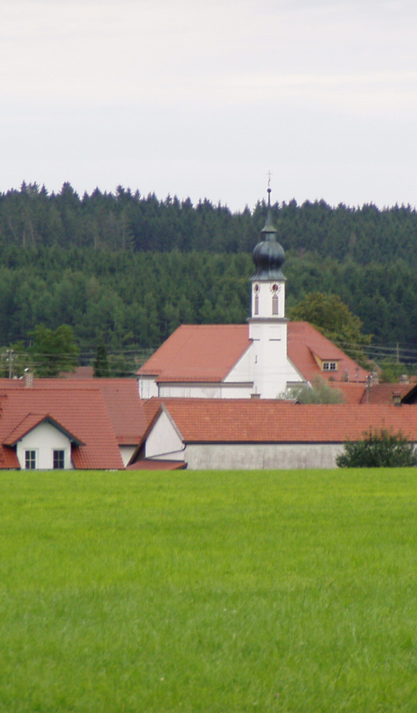 Зеленый луг в городе Лэнгенфельд, Австрия