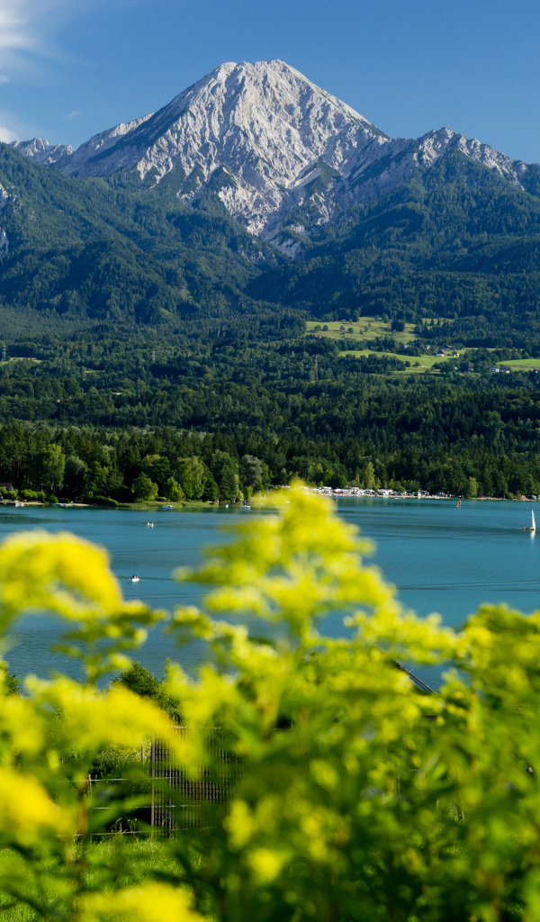 Зелень на фоне гор на курорте Фаакер-Зее, Австрия