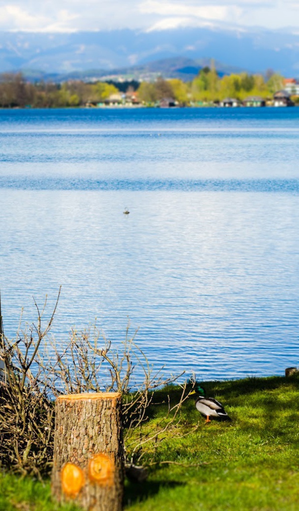 Отдых на озере Клопайнер Зее, Австрия