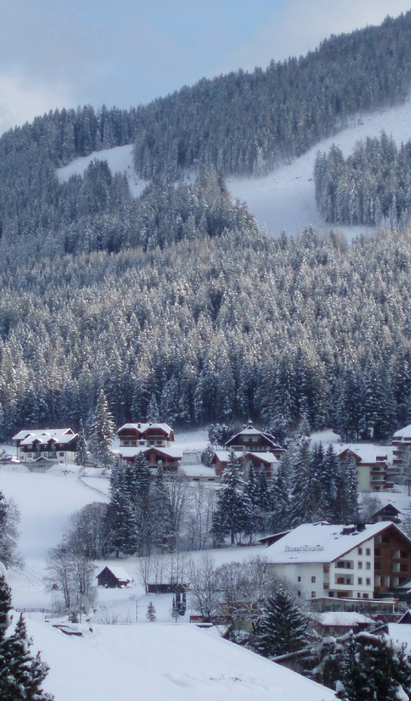 Дома на склоне на горнолыжном курорте Бад Кляйнкирххайм, Австрия