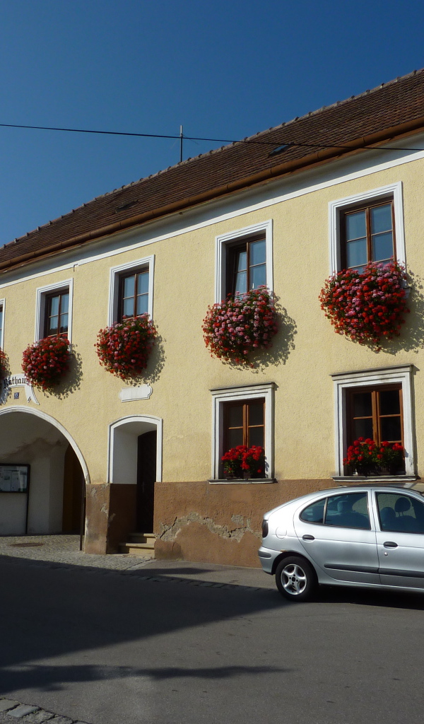 Дом с цветами в городе Лэнгенфельд, Австрия