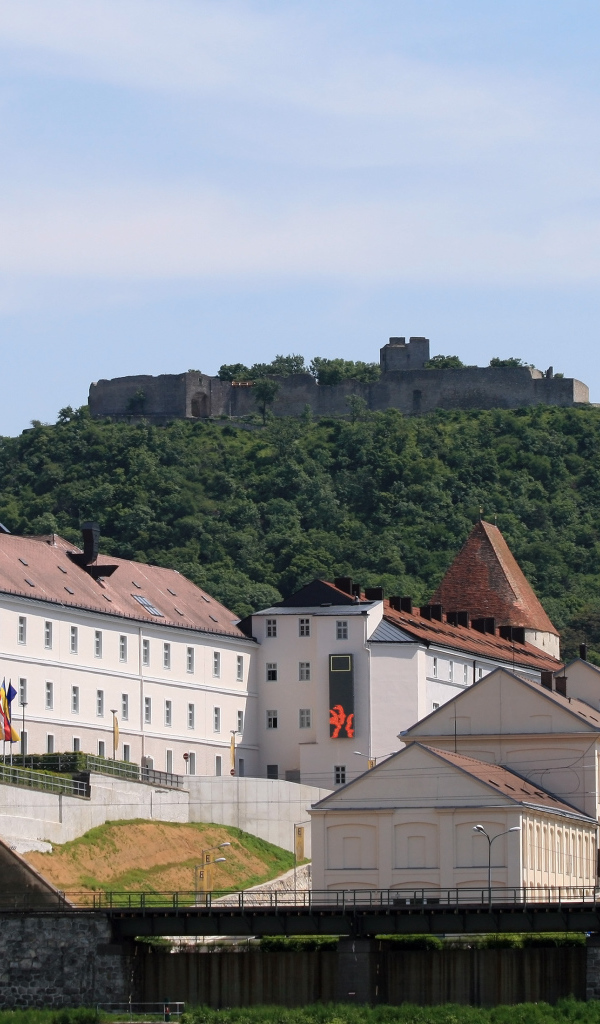 Дома на фоне холма в городе Гайнберг, Австрия
