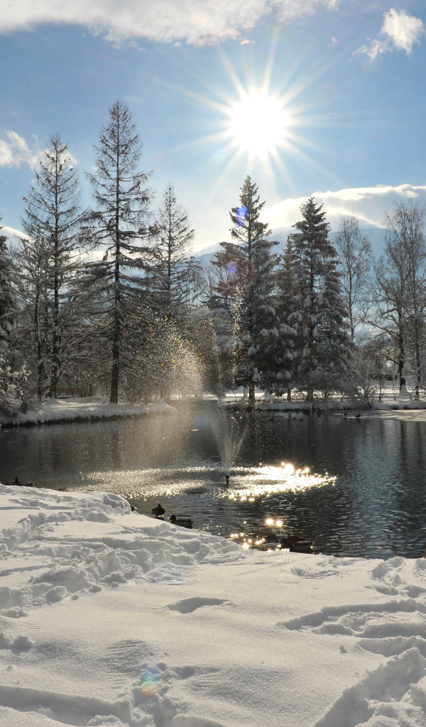 Озеро на курорте Бад Хофгастайн, Австрия