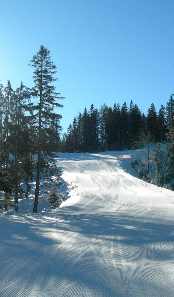 Лыжная трасса на курорте Зеефельд, Австрия
