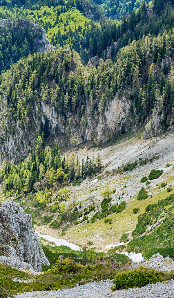 Южный склон Шнееберг, самая высокая гора Нижней Австрии