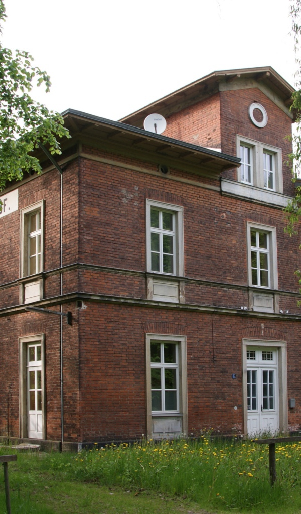 Дом среди деревьев в городе Лэнгенфельд, Австрия