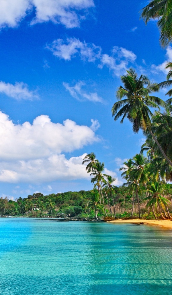 Удивительная картина Барбадоса пляжа