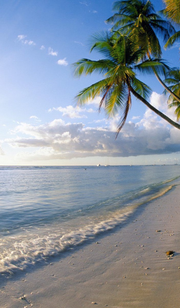 Знаменитый пляж Барбадоса