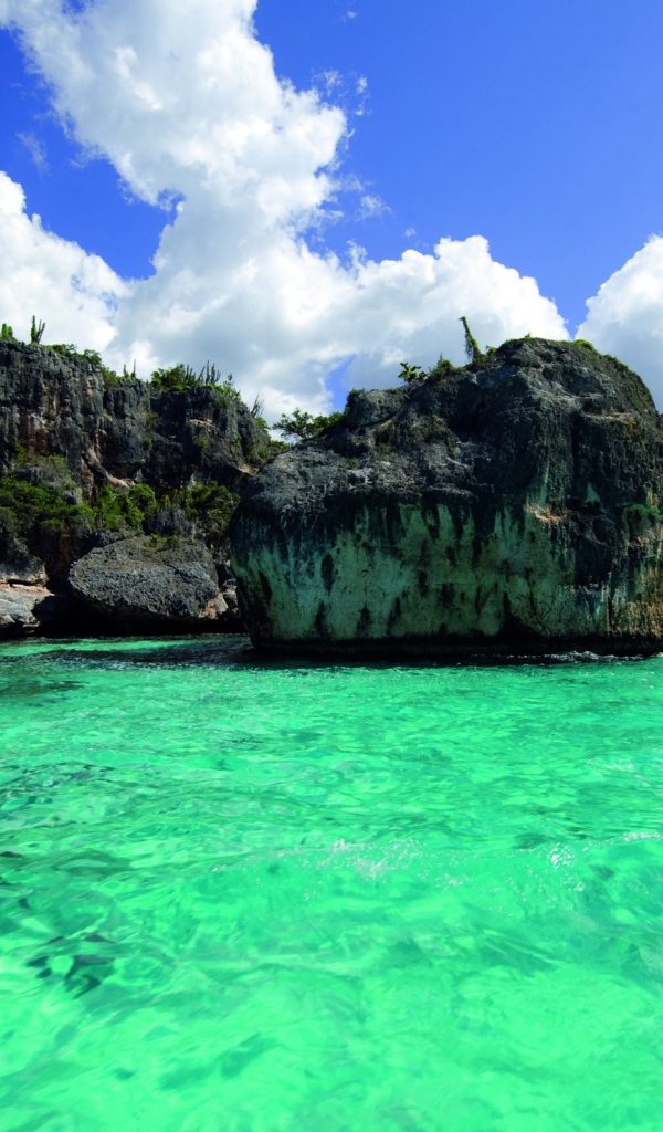 Зеленая вода в Барбадосе 