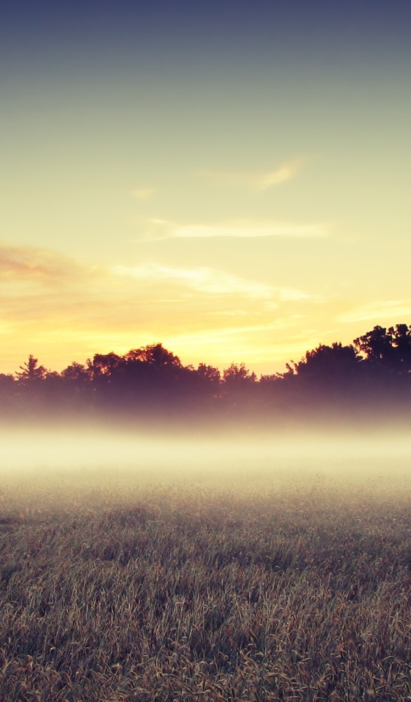 Туман в Барбадосе