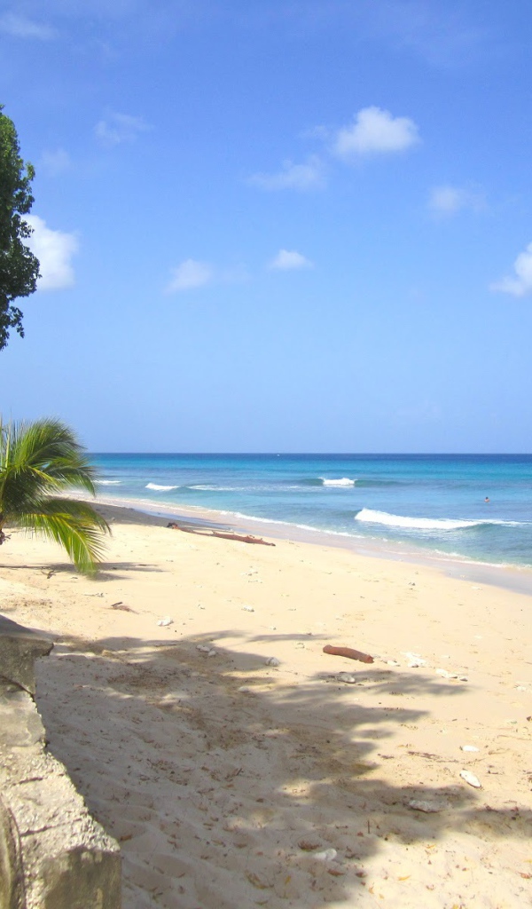 Песчаные пляжи в Барбадосе