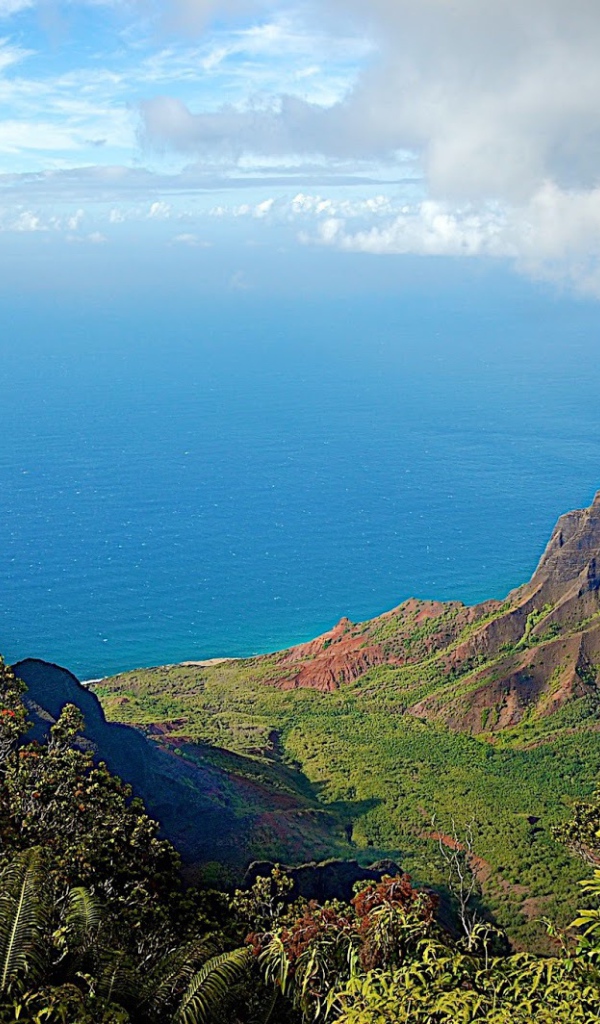 Ландшафт Барбадоса