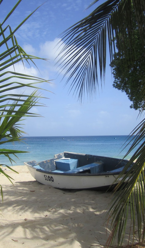 Белая, лодка в Барбадосе