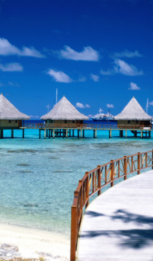 Солнечное Барбадос