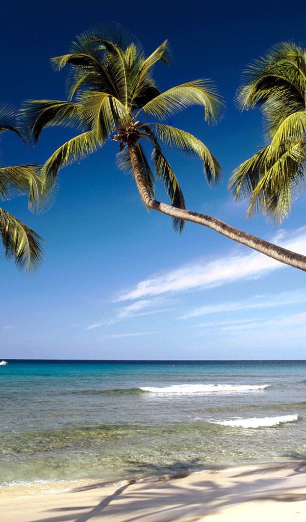 Красивое Барбадос