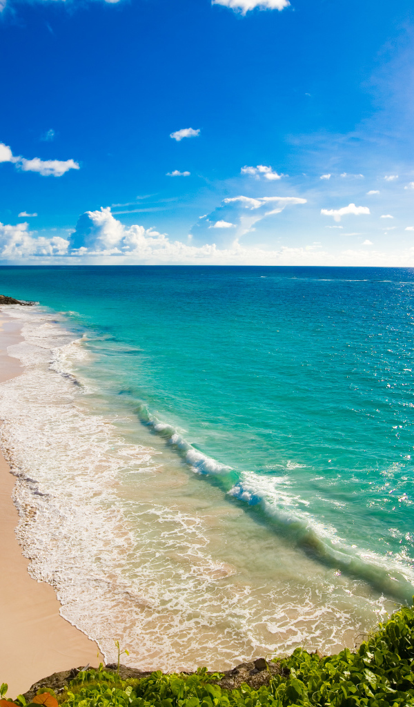 Популярное Барбадос