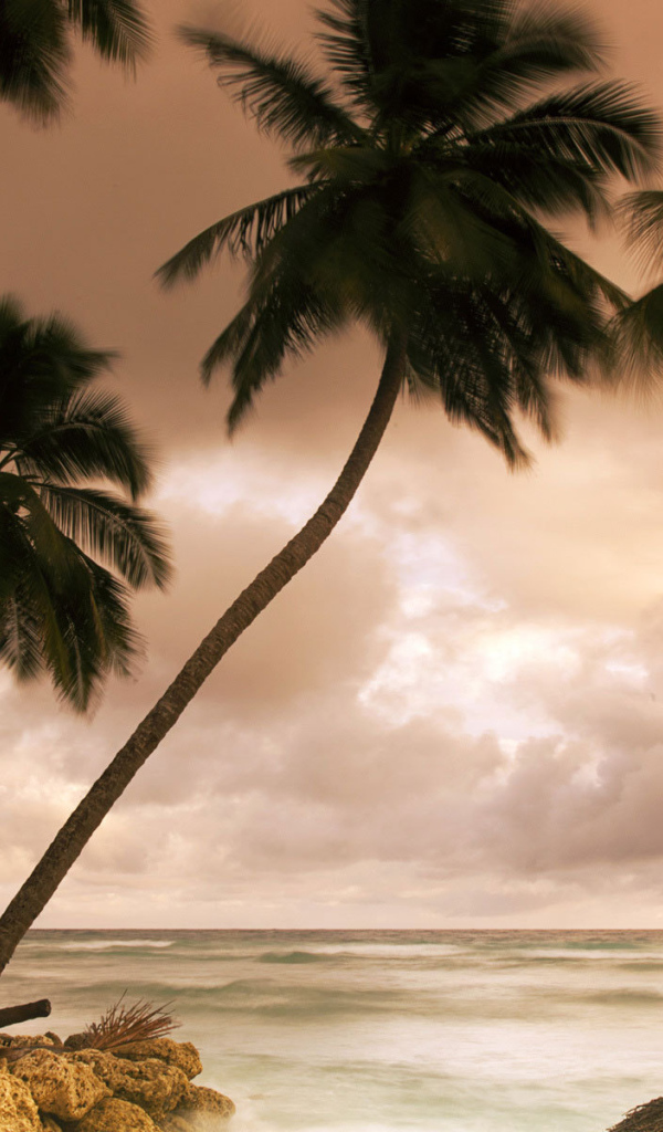 Потрясающое Барбадос