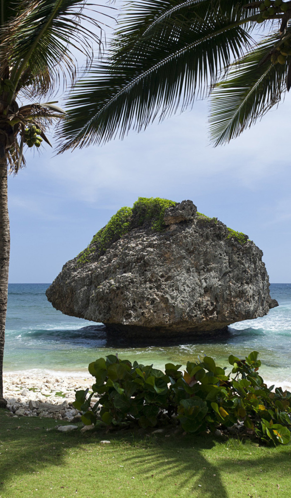 Великое Барбадос