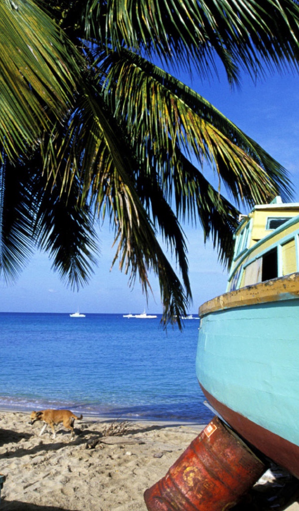 Впечатляющие Барбадос