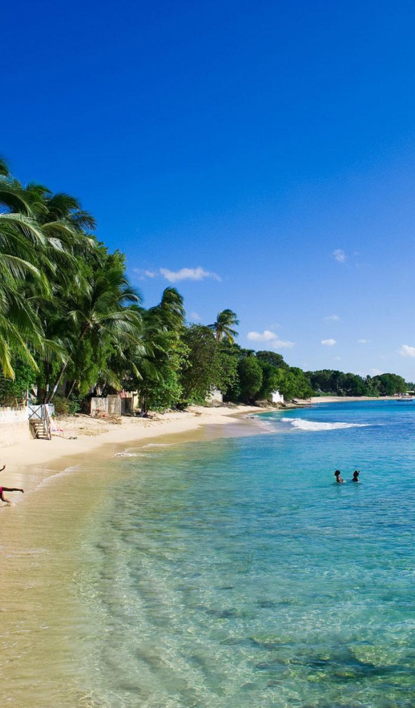 Изысканное Барбадос