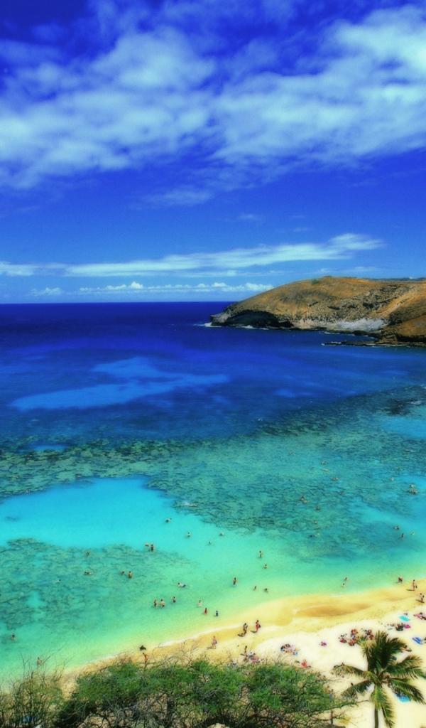 Удивительная страна Барбадос