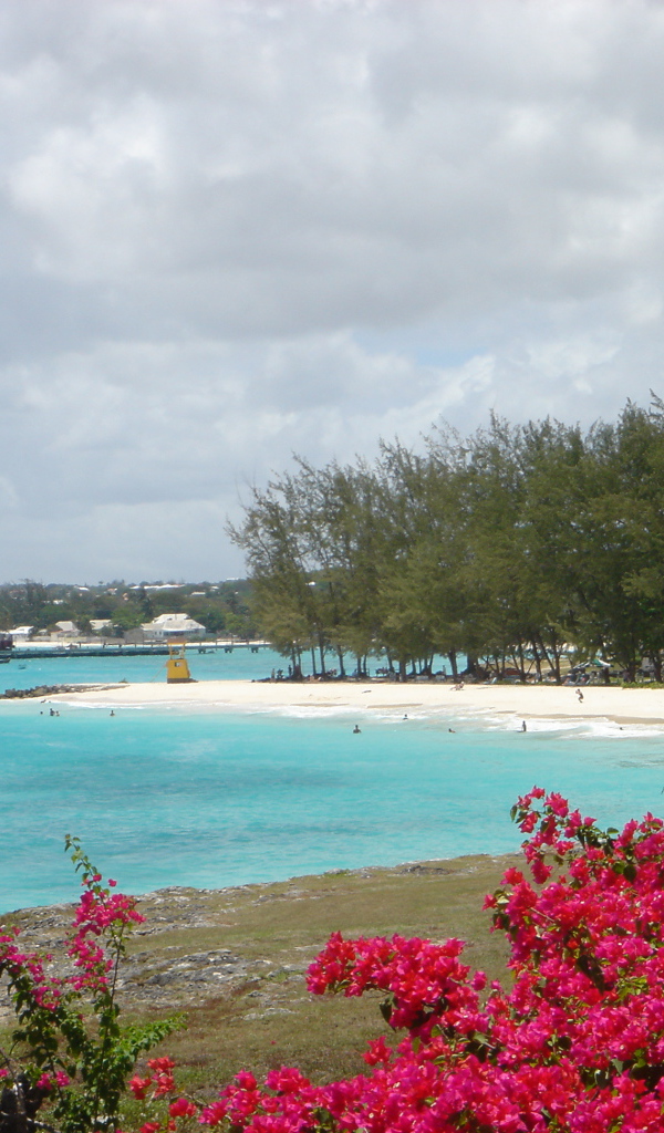 Замечательная страна Барбадос