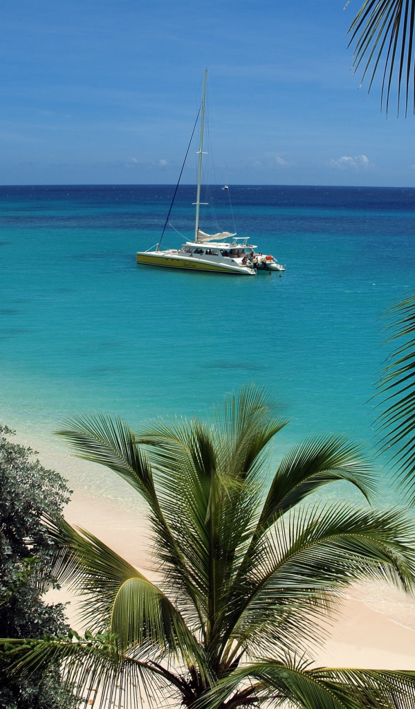 Элегантная страна Барбадос