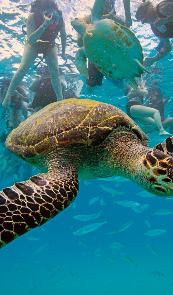 Туристическое место в Барбадос