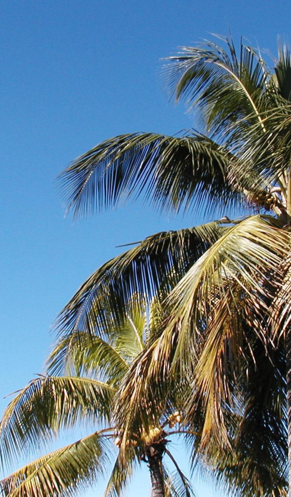 Замечательное место в Барбадос